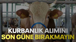 Kurbanlık alımını son güne bırakmayın